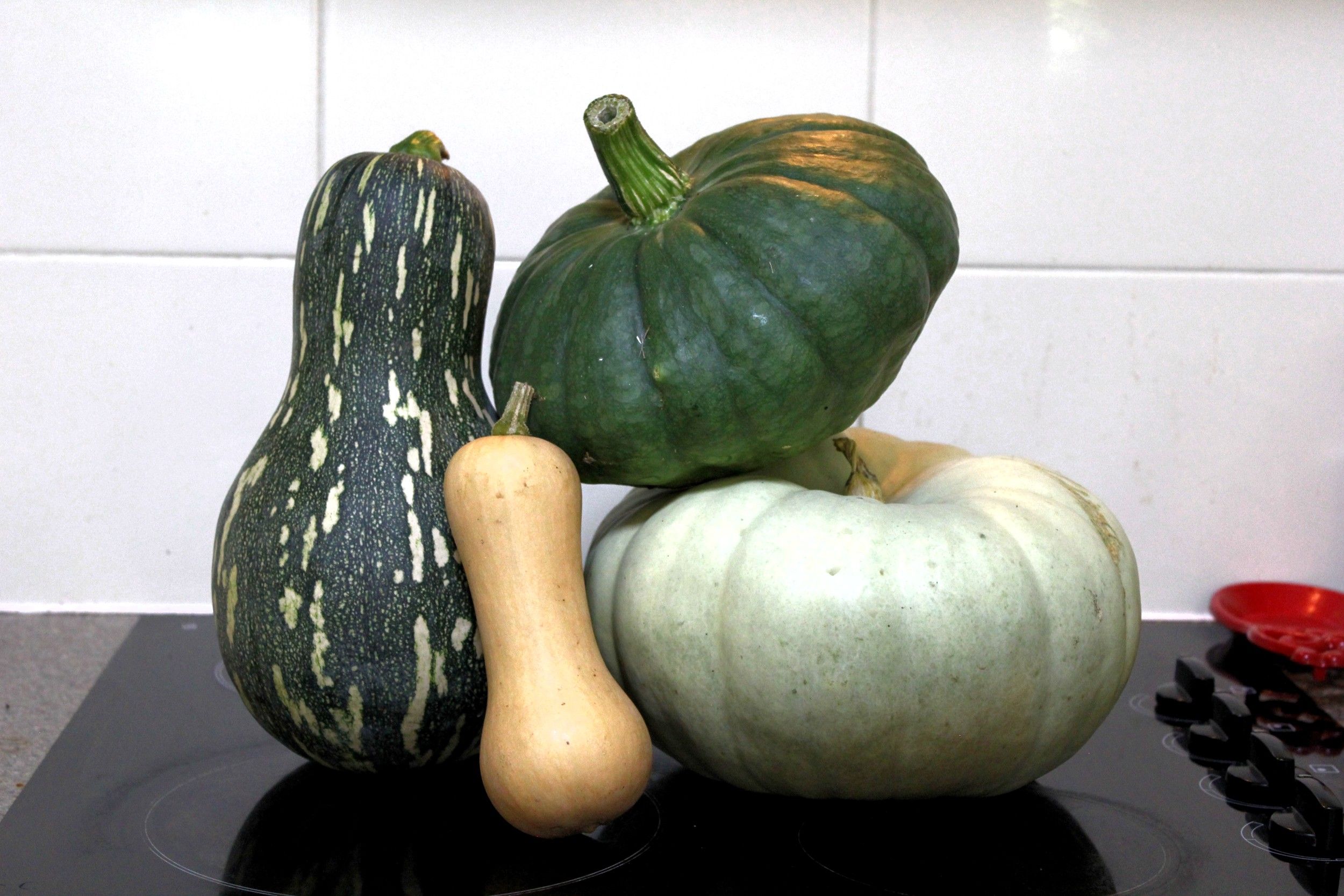 Squash Selection