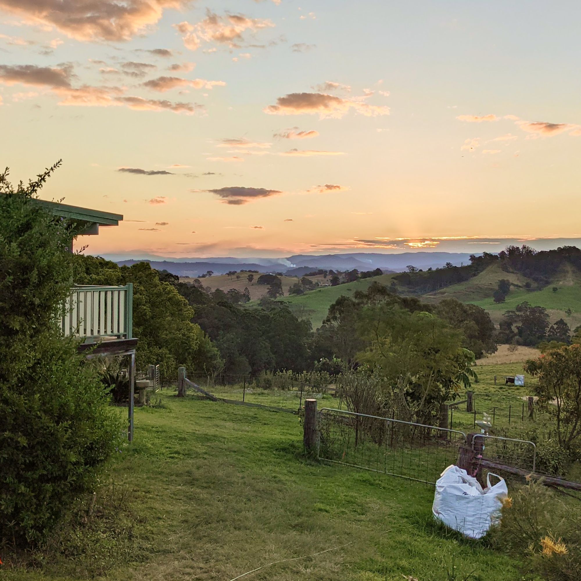 The Shedhouse - side view in the fog