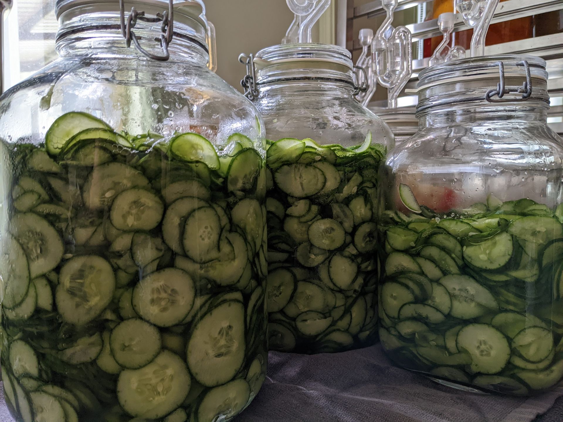 Fermentation Basics