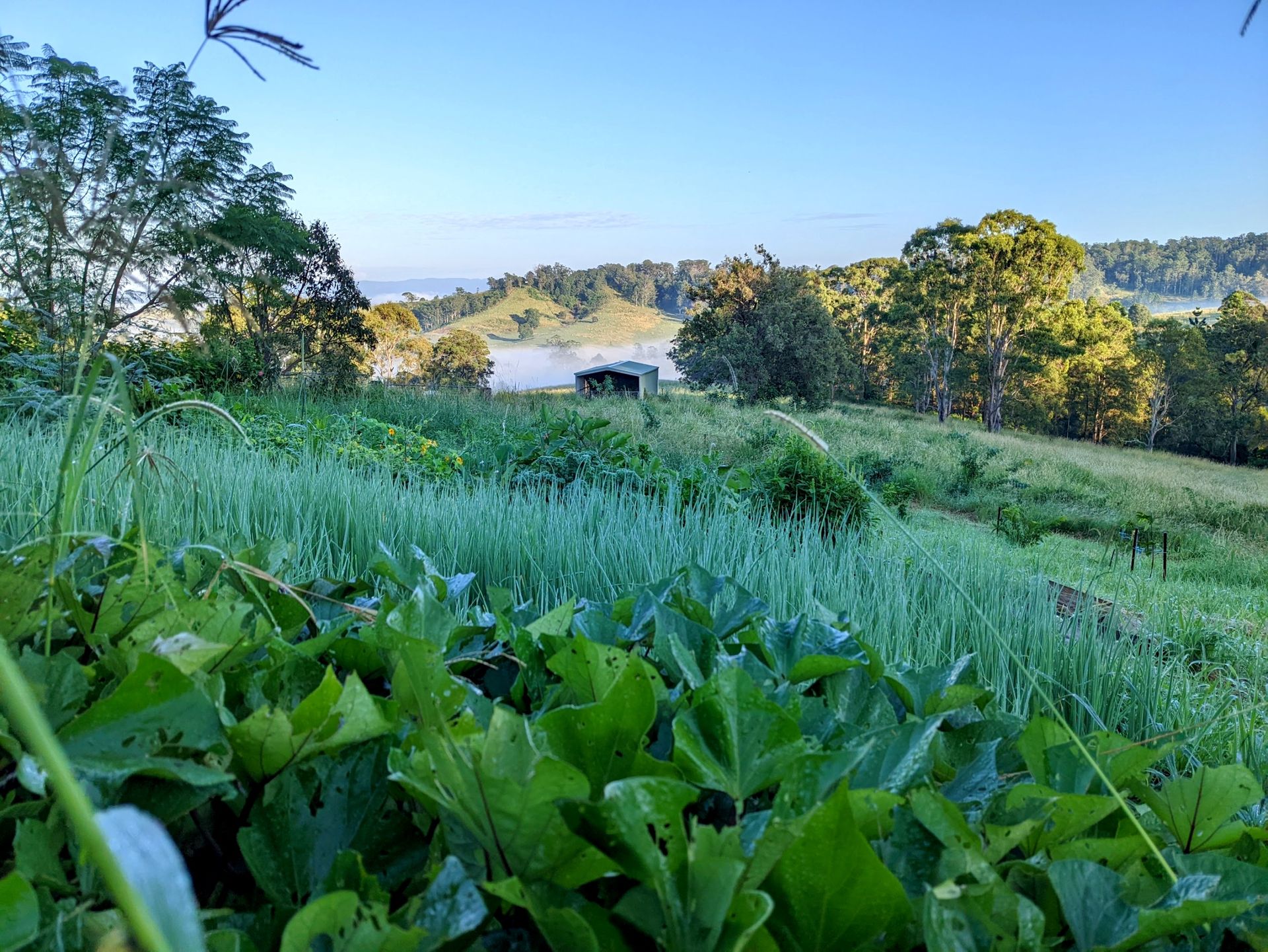 Small Batch Seasonal Condiments.