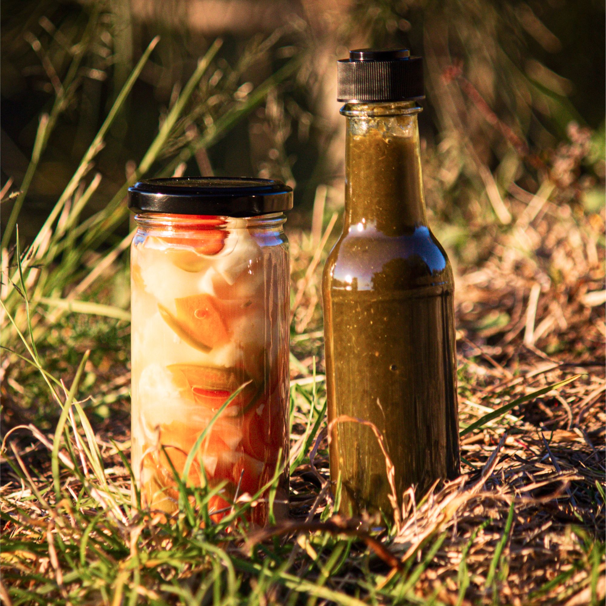 The Shedhouse - side view in the fog